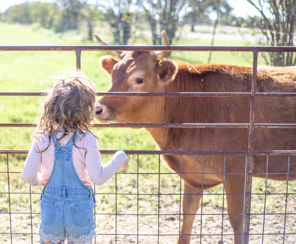 Crowe's Nest Farm