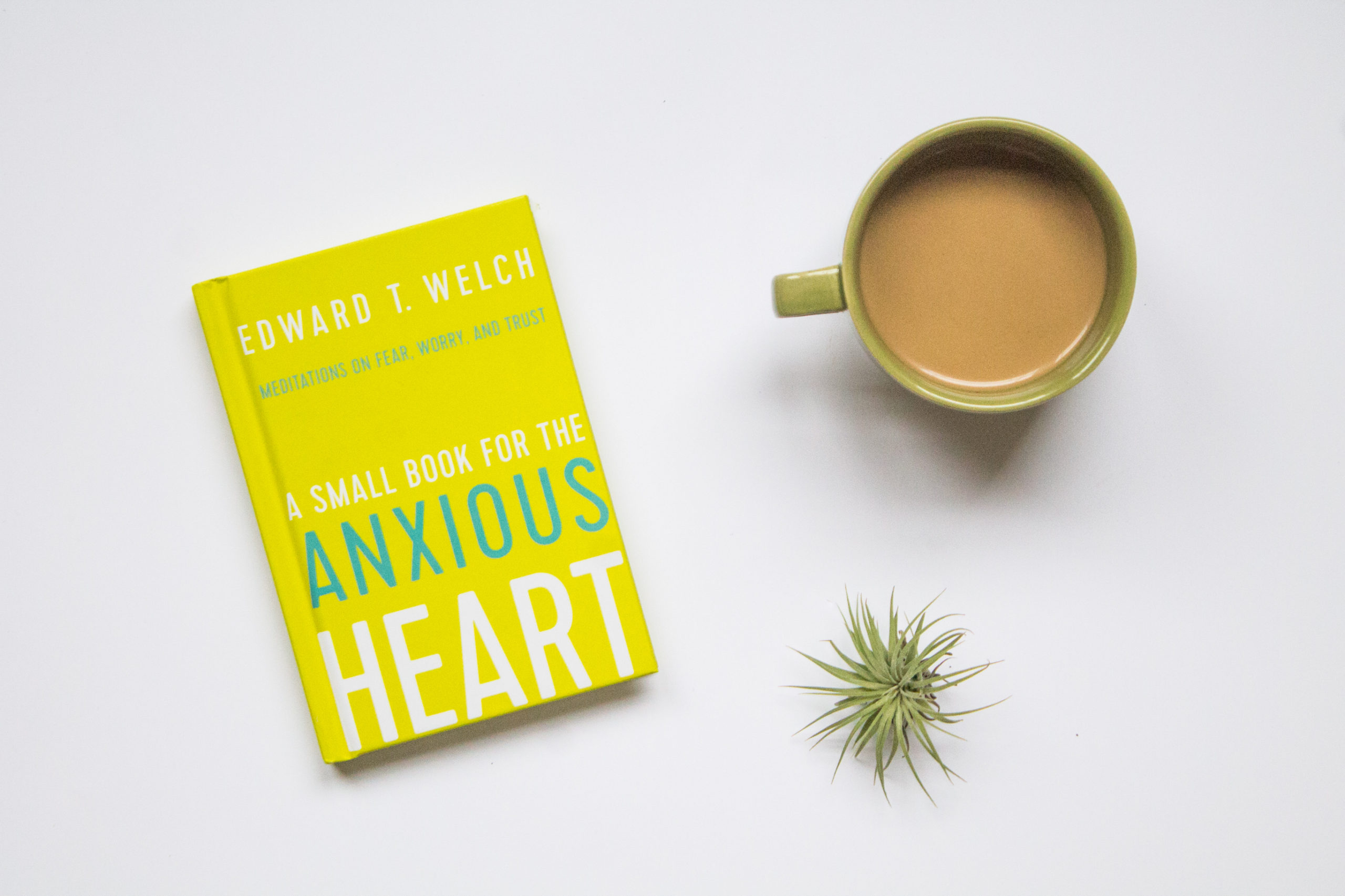 A Small Book for the Anxious Heart