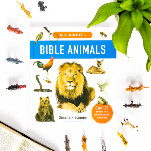 All About Bible Animals
