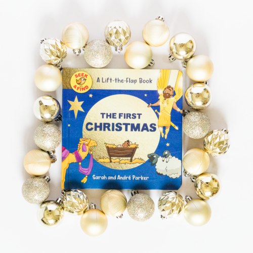 Seek and Find Lift the Flap