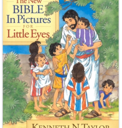 The New Bible in Pictures