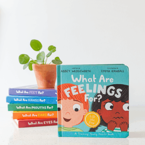 What Are Feelings For?